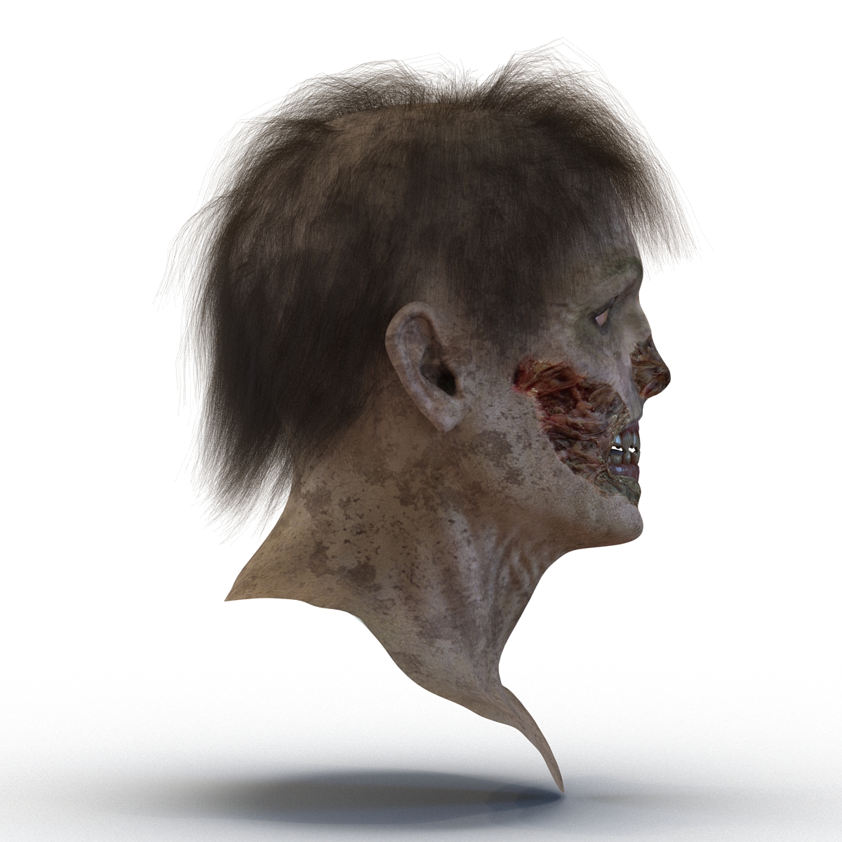 3D Zombie Head with Hair