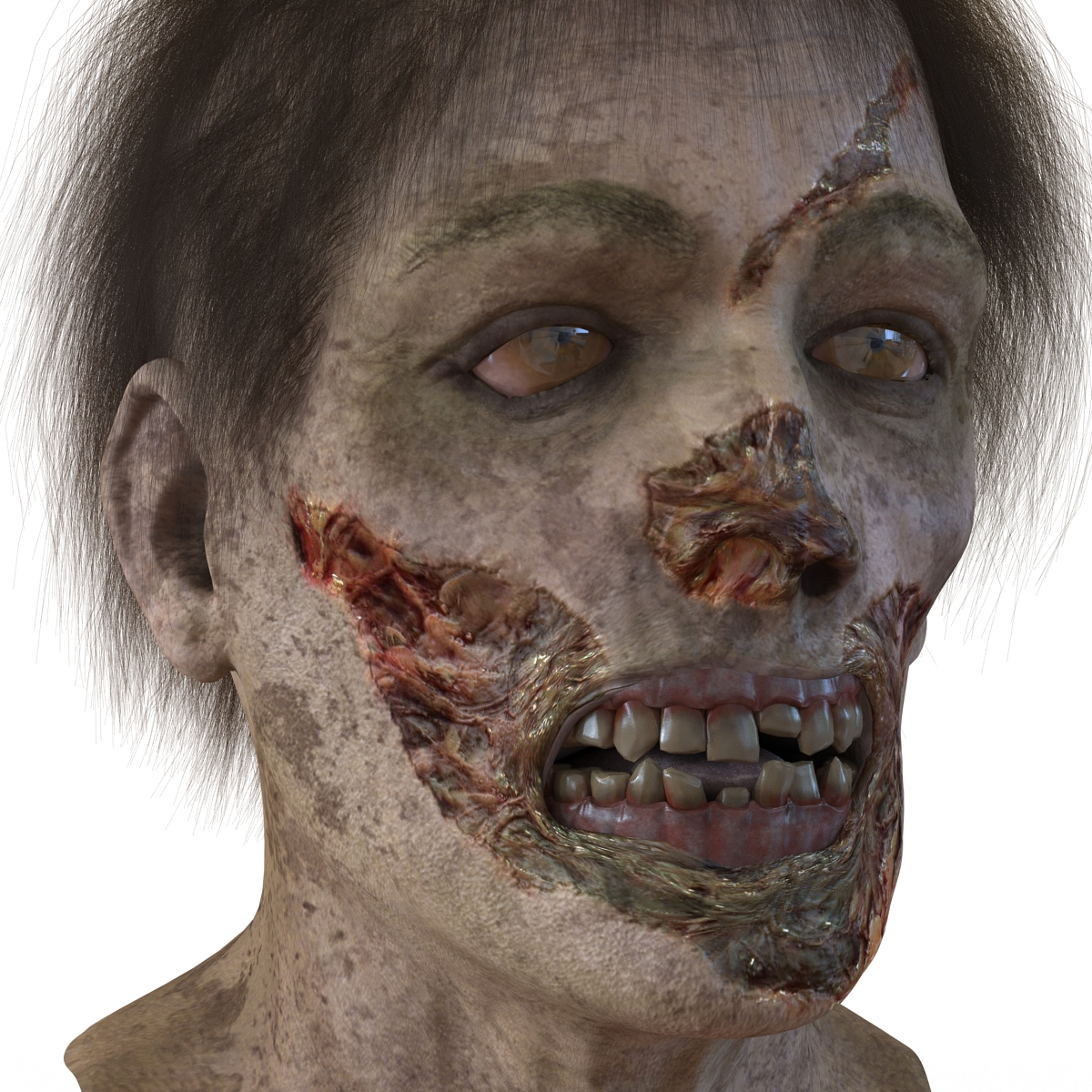 3D Zombie Head with Hair