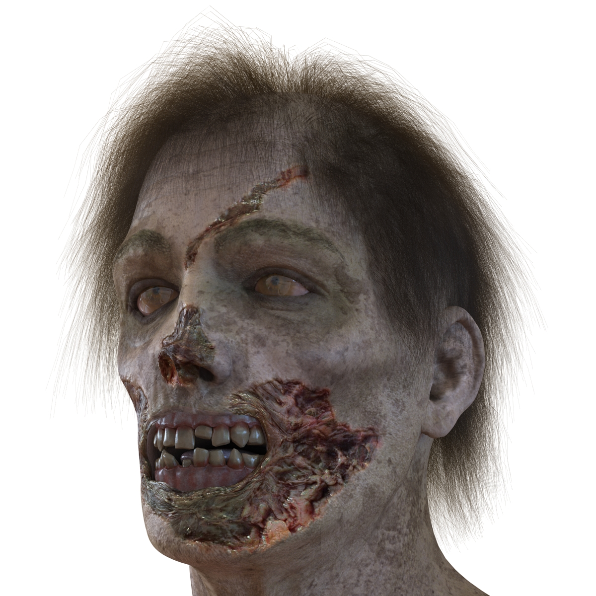 3D Zombie Head with Hair