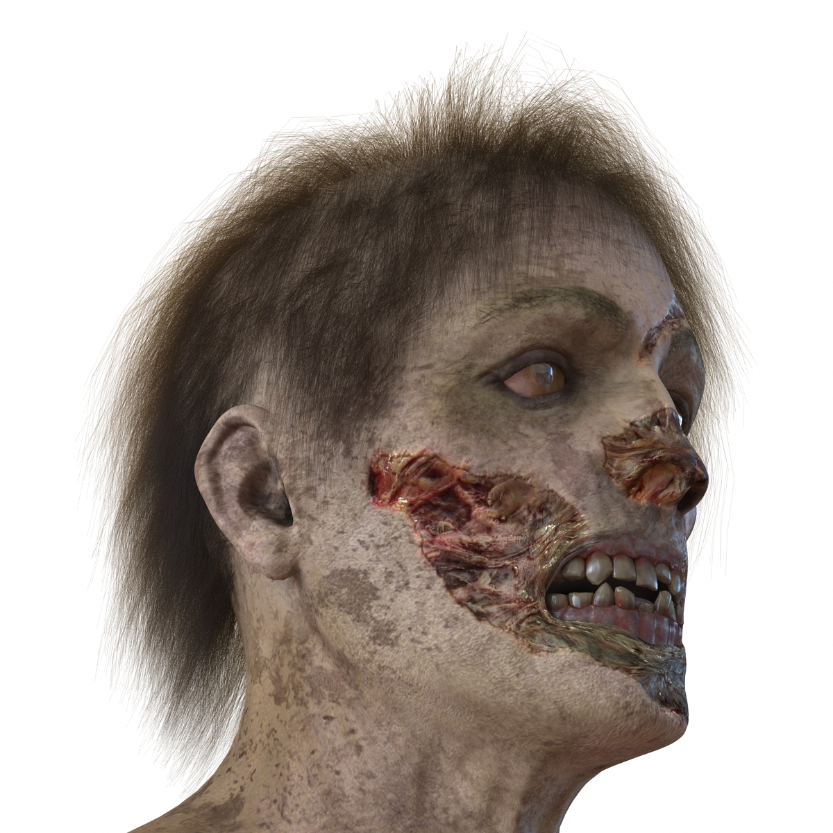 3D Zombie Head with Hair