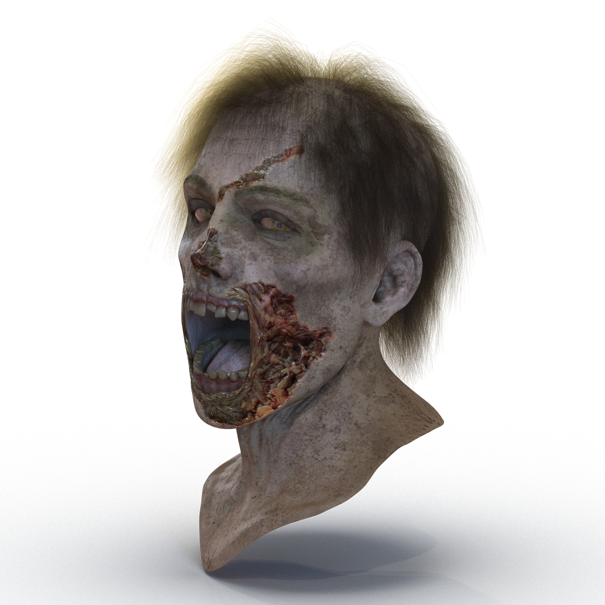 3D Zombie Head with Hair Rigged model