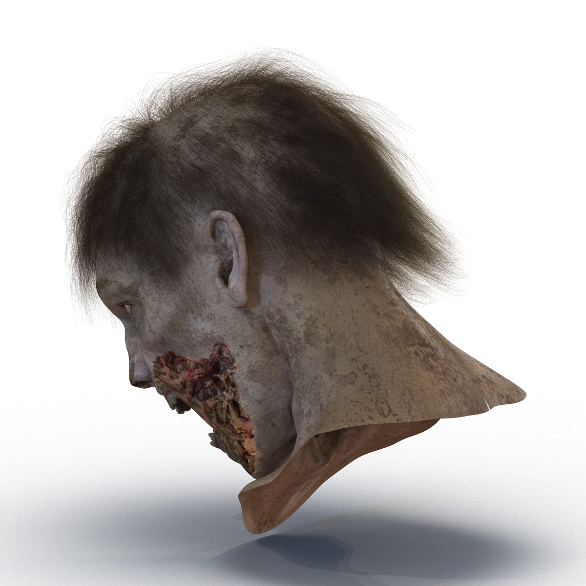 3D Zombie Head with Hair Rigged model