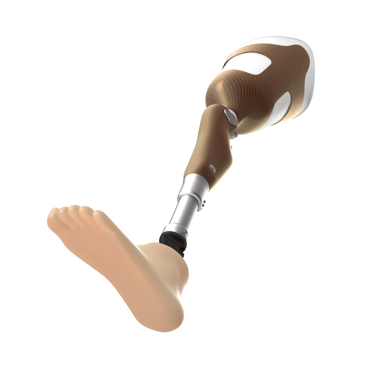 3D Prosthetic Leg Rigged