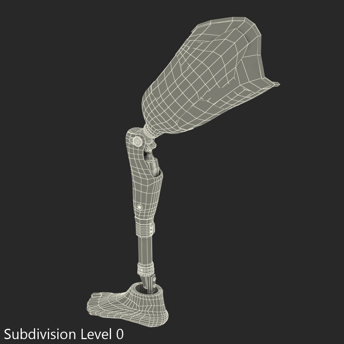 3D Prosthetic Leg Rigged