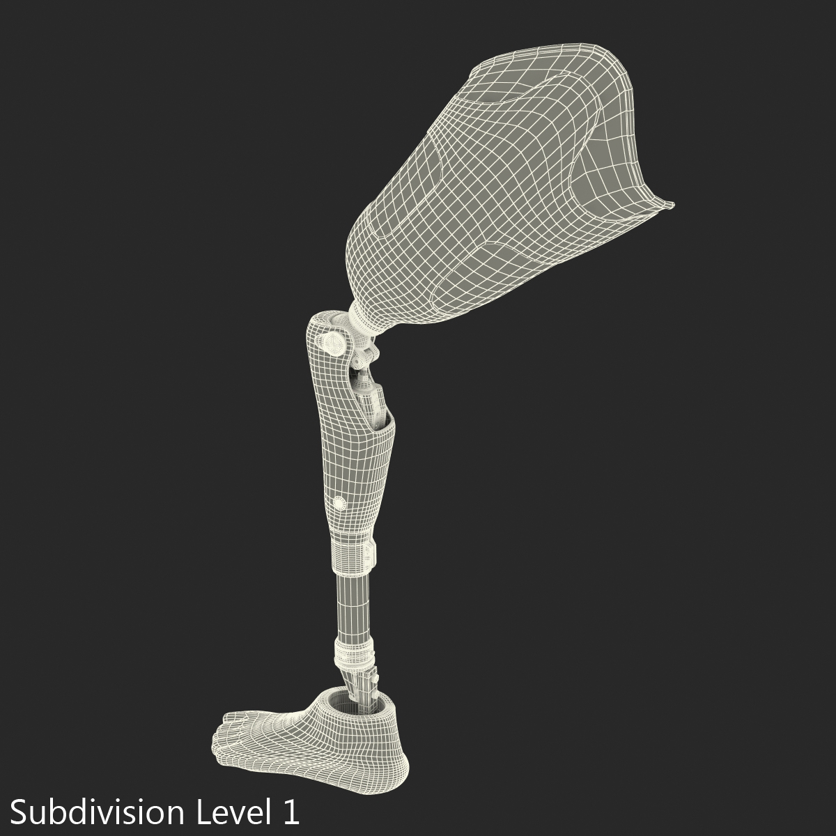 3D Prosthetic Leg Rigged