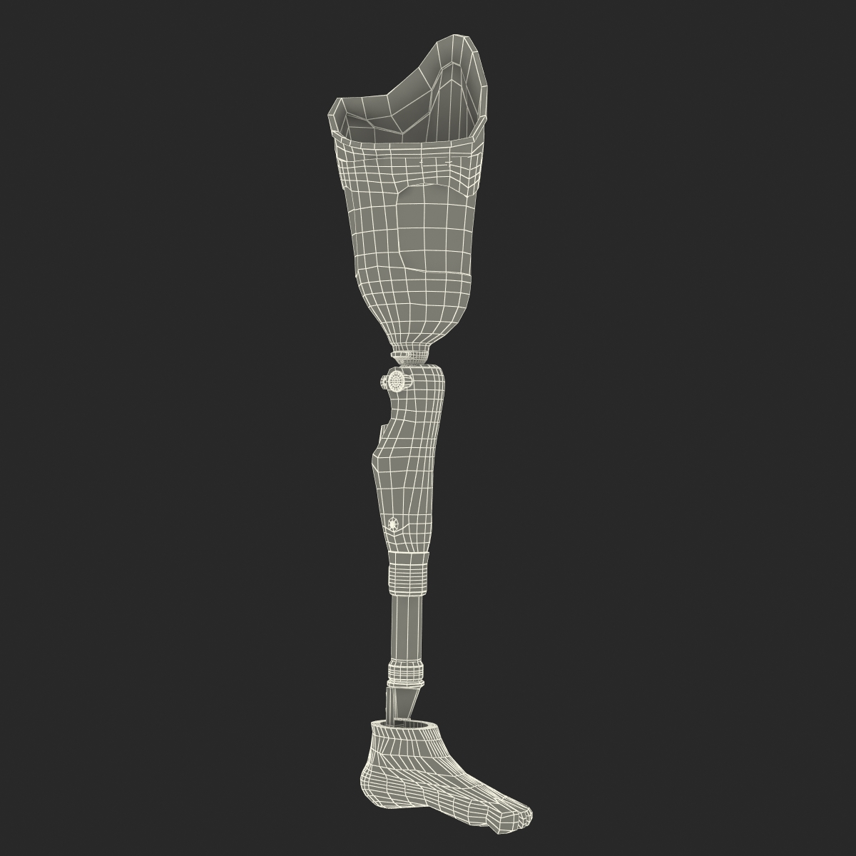 3D Prosthetic Leg Rigged