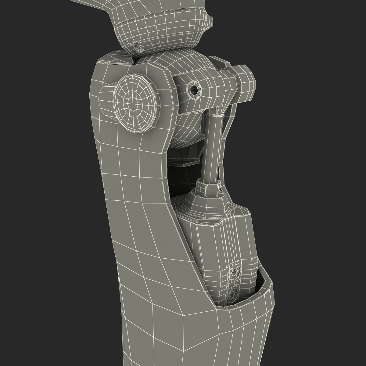 3D Prosthetic Leg Rigged