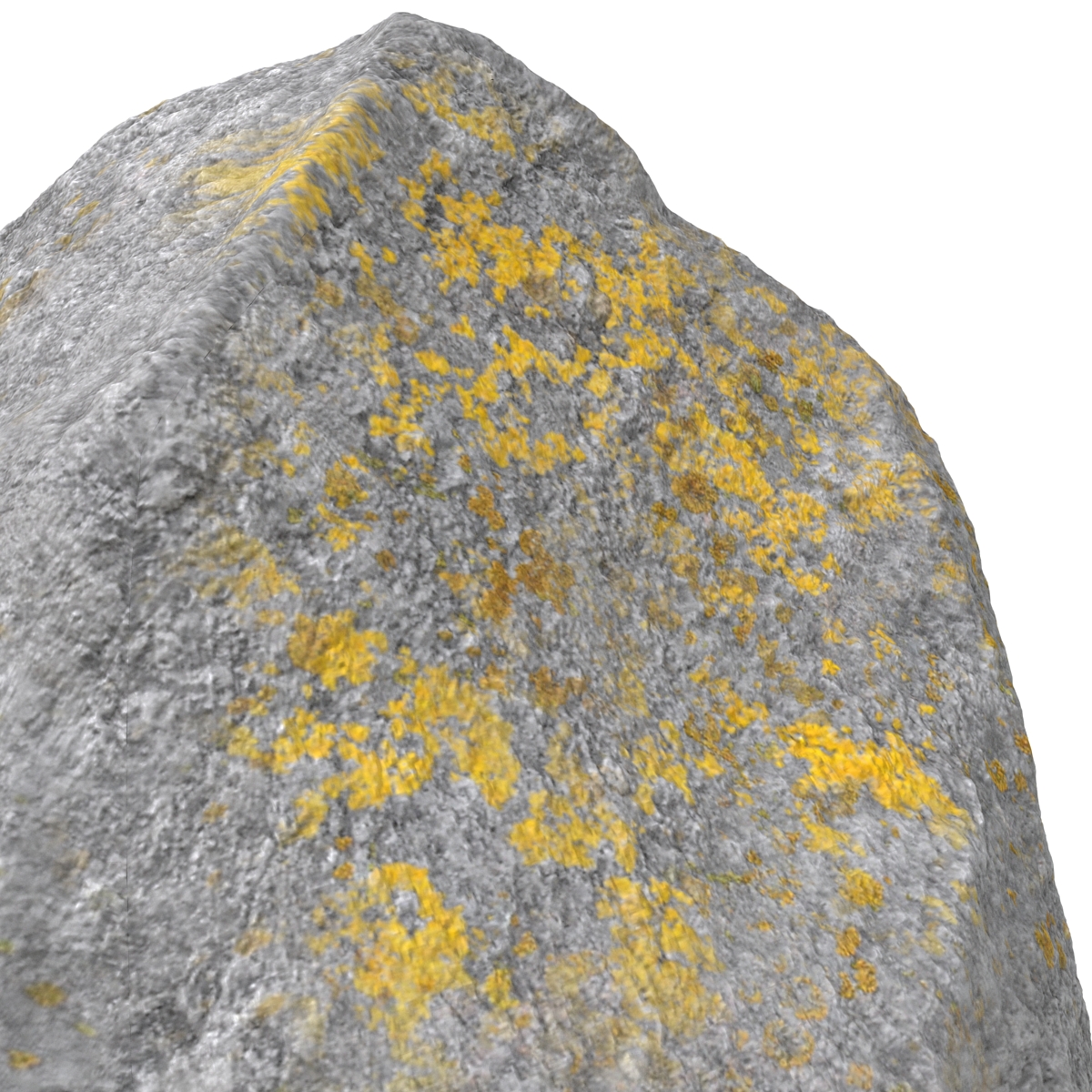 Stone 4 3D model