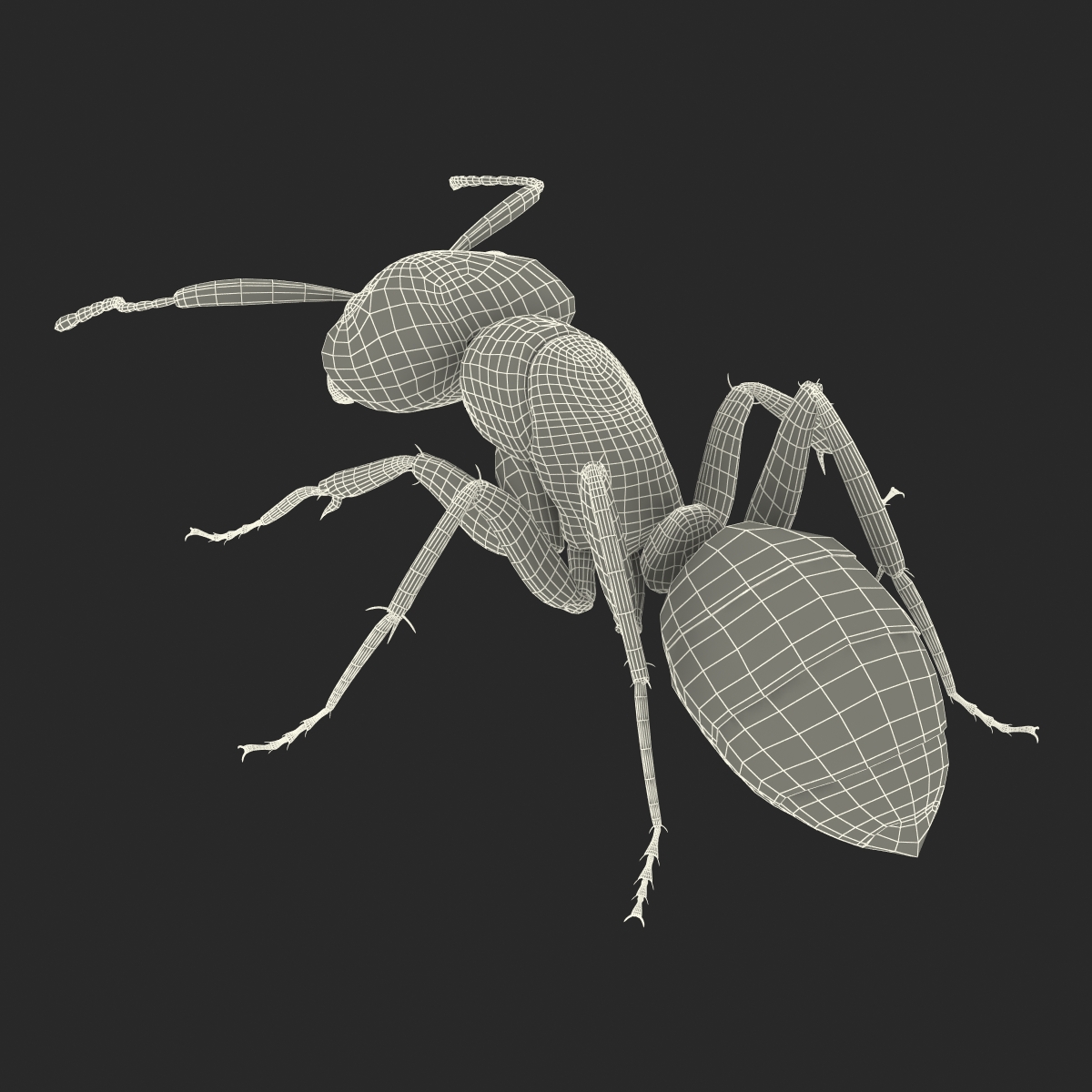 Red Ant Pose 3 3D model