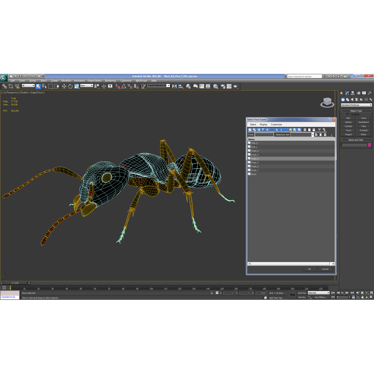 3D Black Ant Pose 3