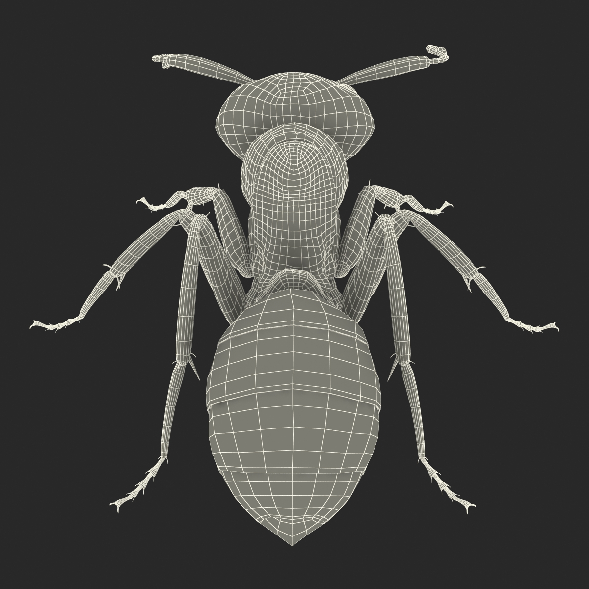 3D Black Ant Pose 3