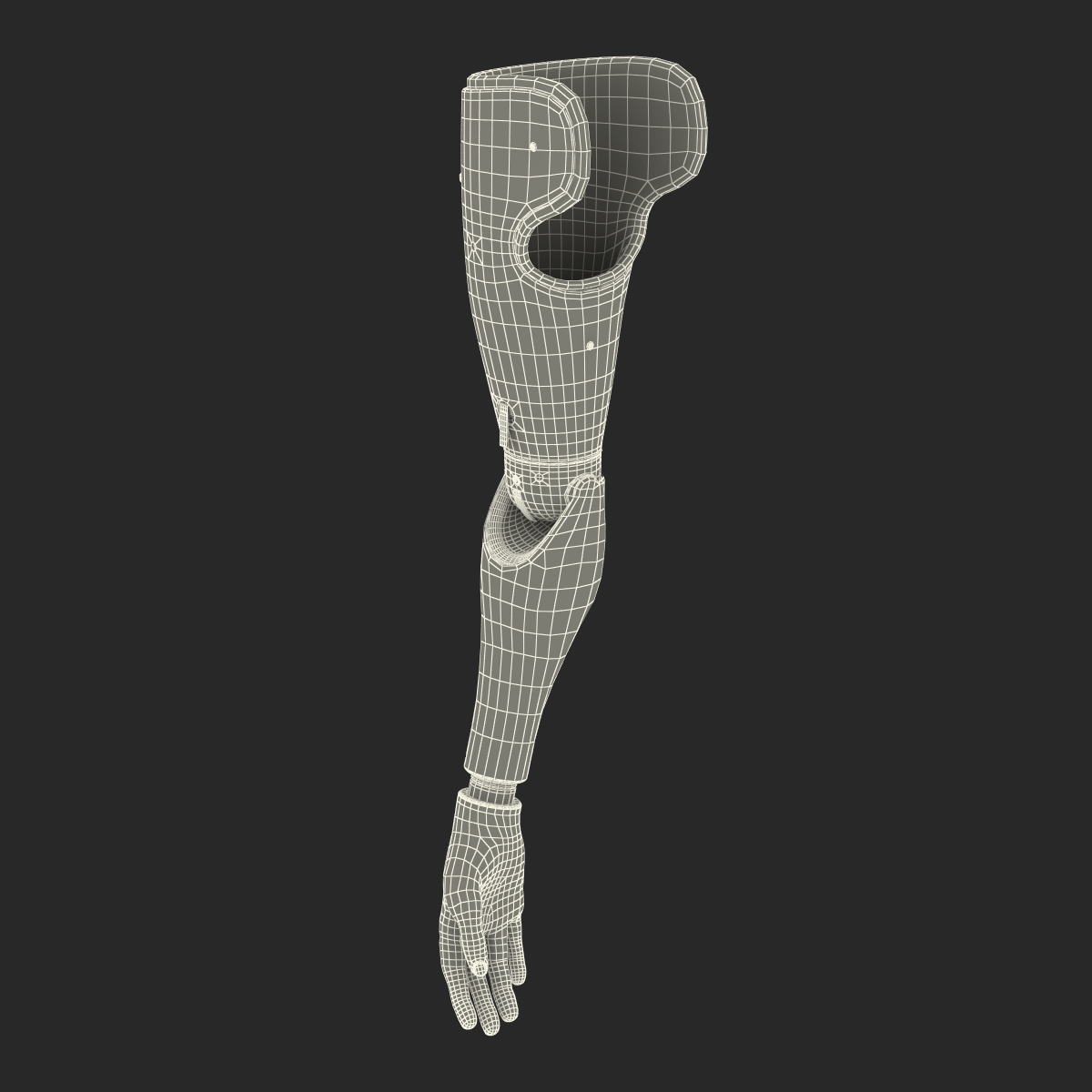 Prosthetic Arm 3D model