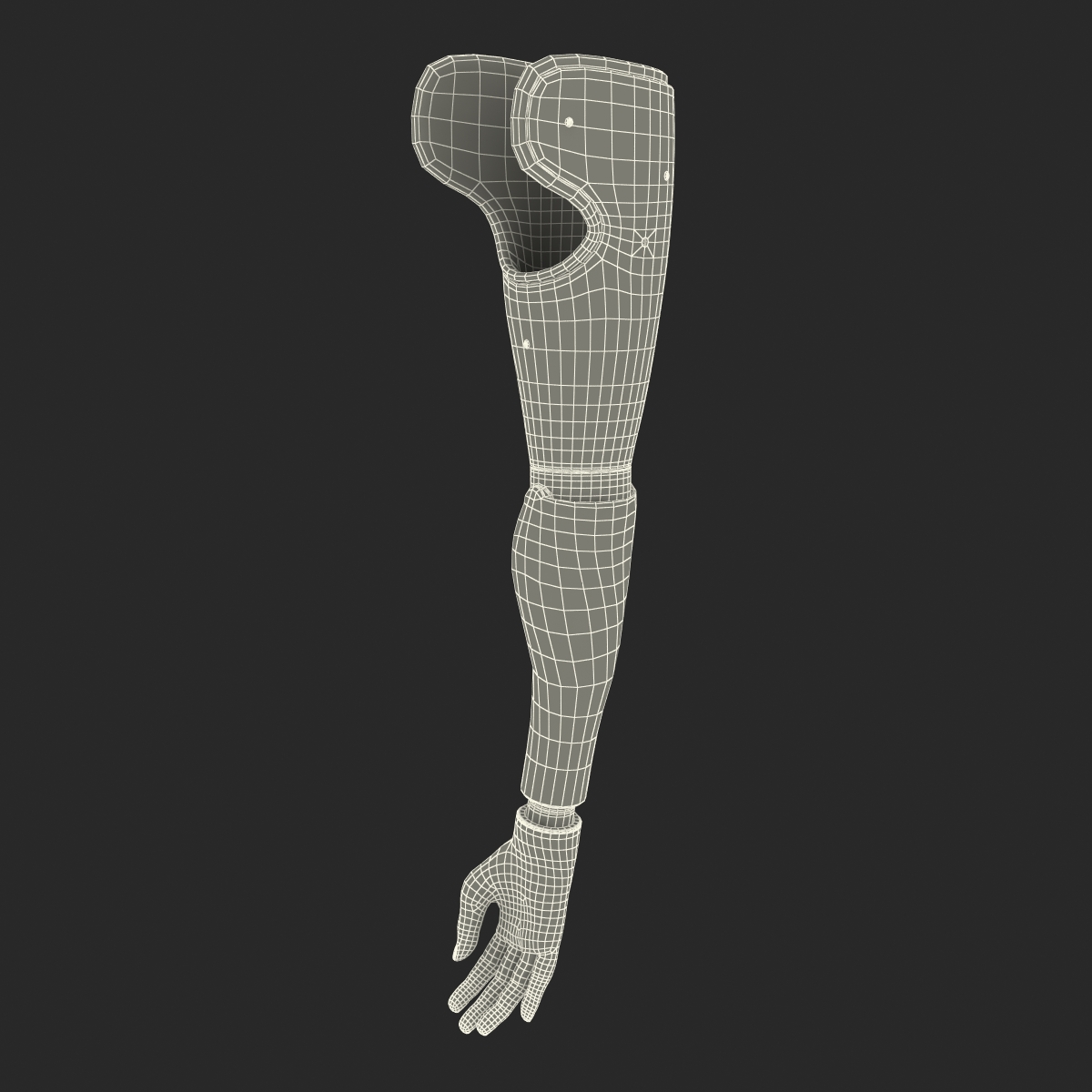 Prosthetic Arm 3D model