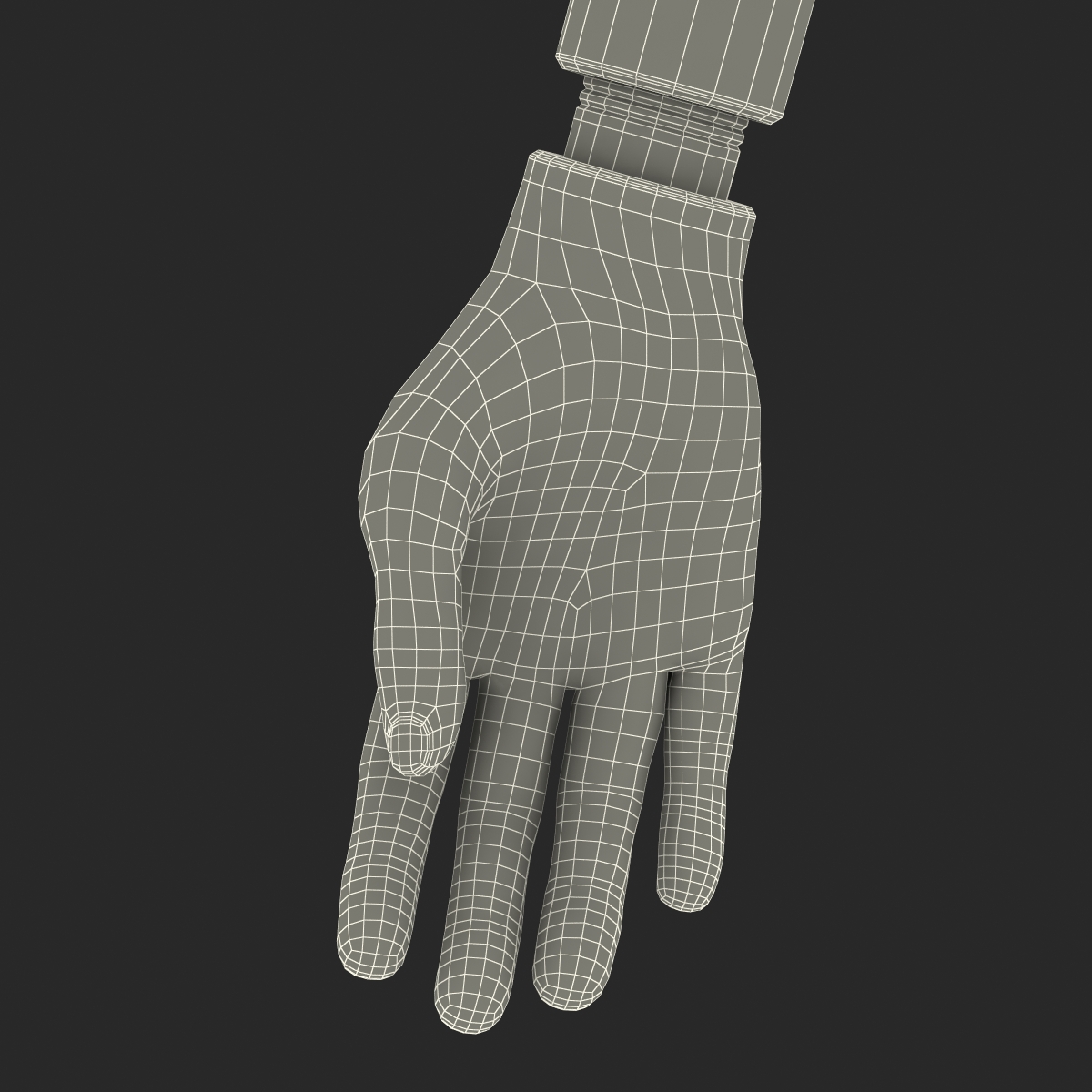 Prosthetic Arm 3D model