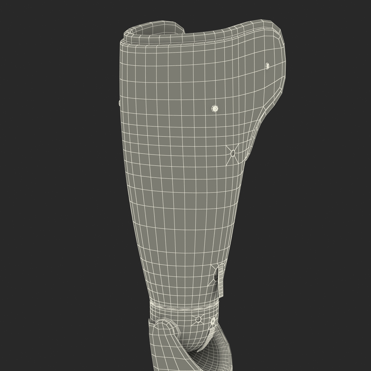 Prosthetic Arm 3D model