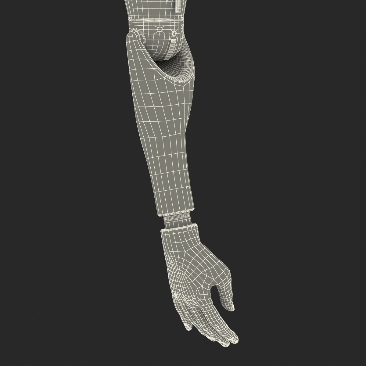 3D Prosthetic Arm Rigged