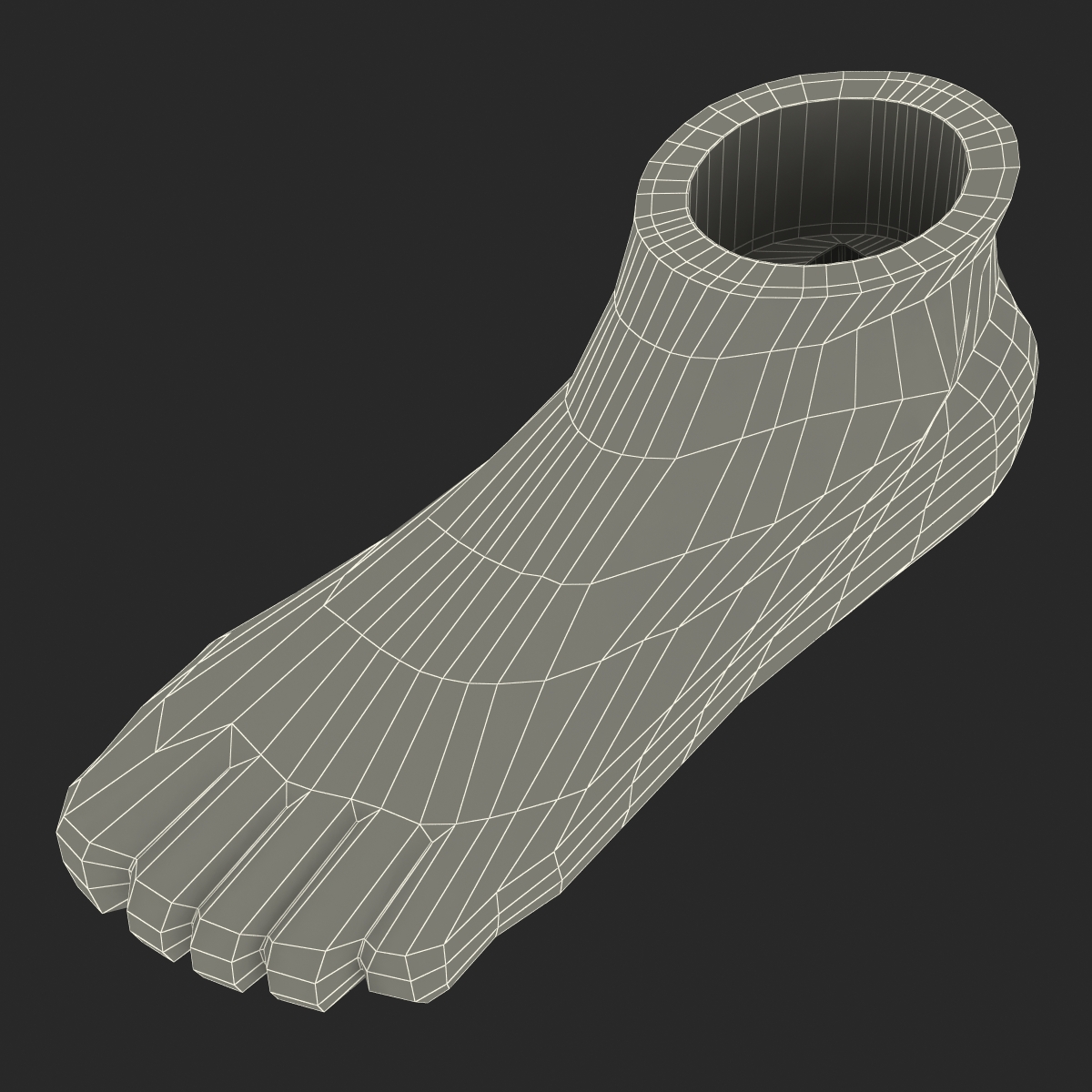 Plastic Foot 3D