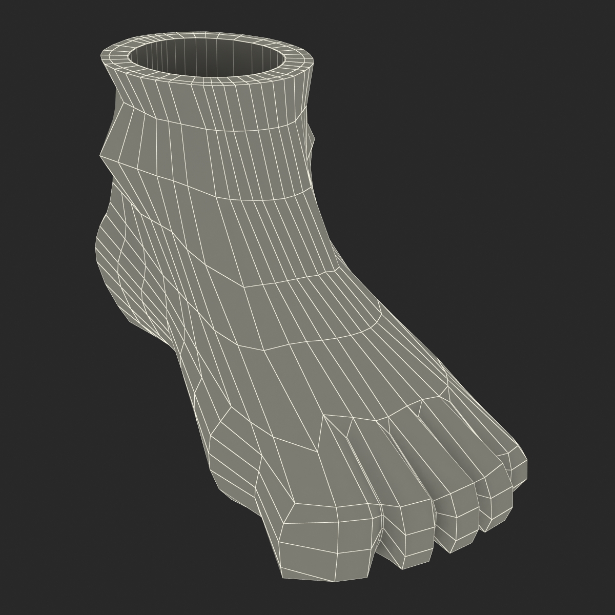 Plastic Foot 3D