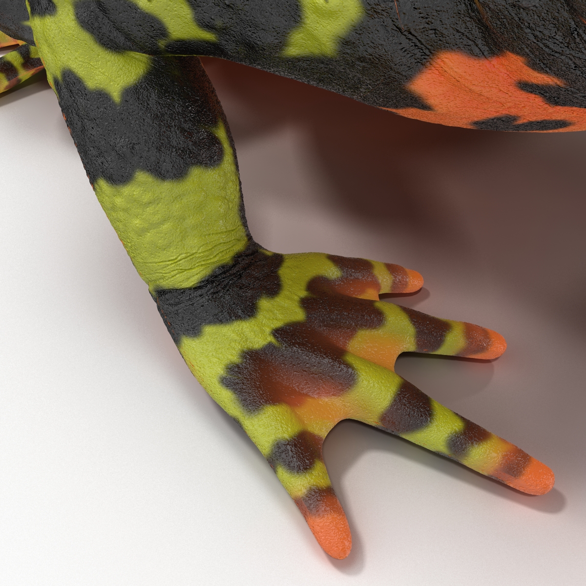 Fire Bellied Toad Frog Pose 2 3D model