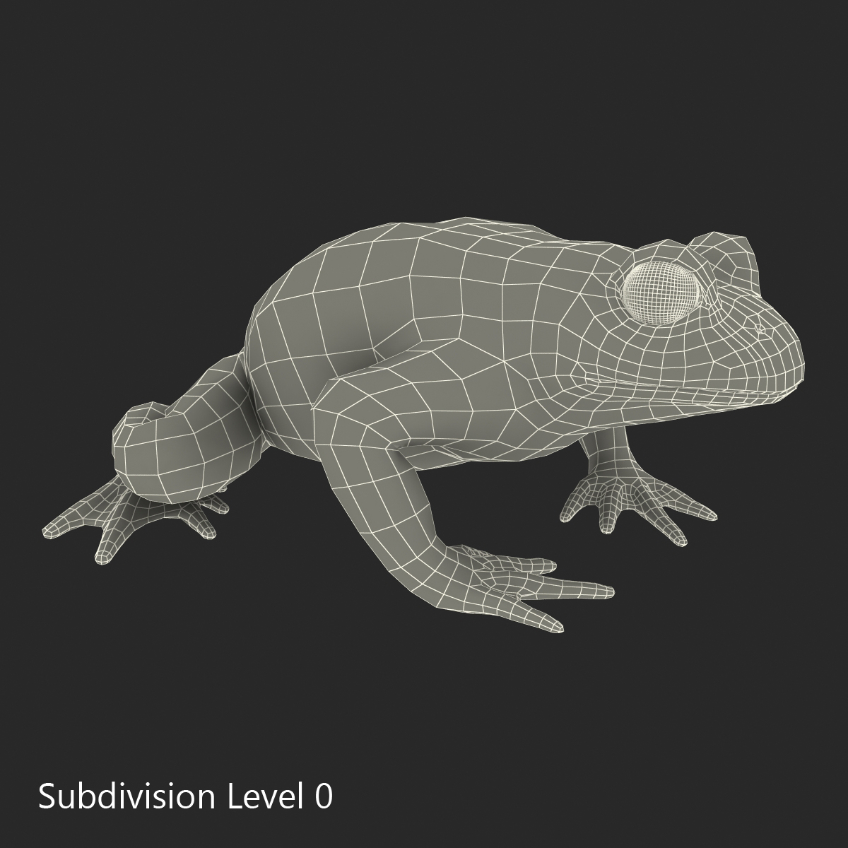 Fire Bellied Toad Frog Pose 2 3D model