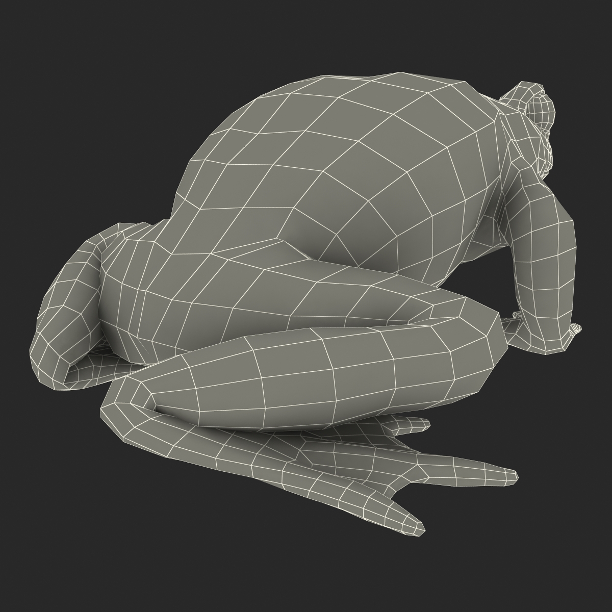 Fire Bellied Toad Frog Pose 2 3D model