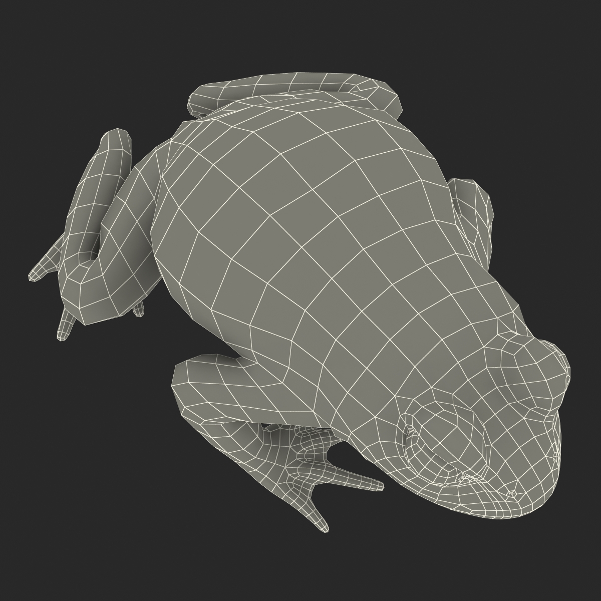 Fire Bellied Toad Frog Pose 2 3D model