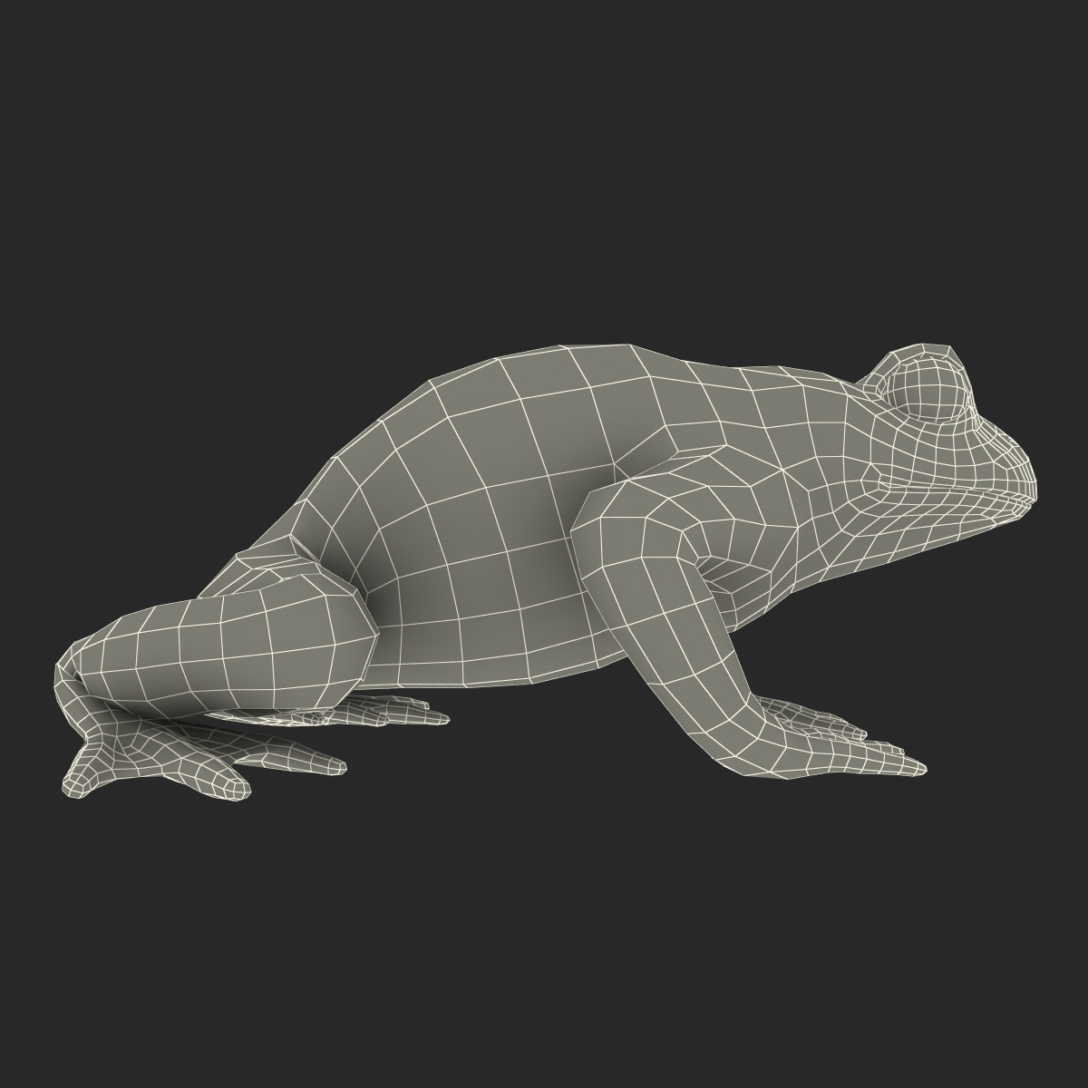 Fire Bellied Toad Frog Pose 2 3D model