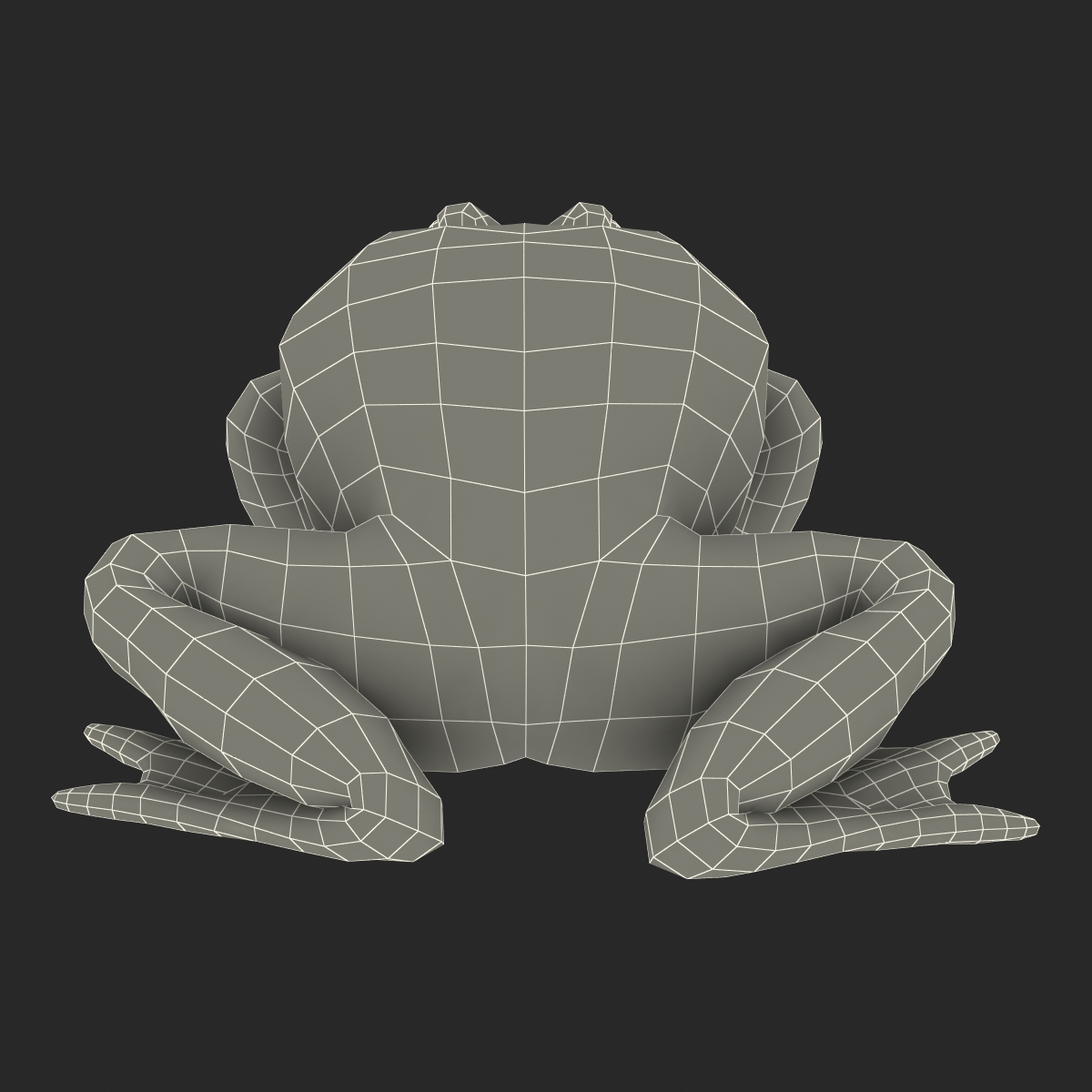 Fire Bellied Toad Frog Pose 2 3D model