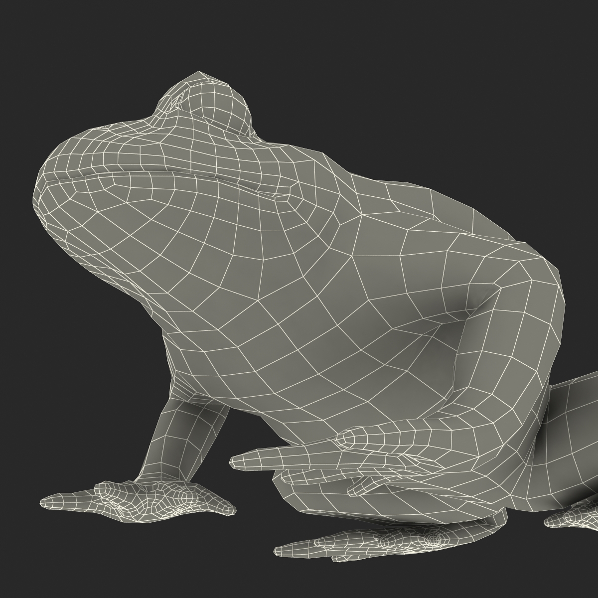 Fire Bellied Toad Frog Pose 2 3D model