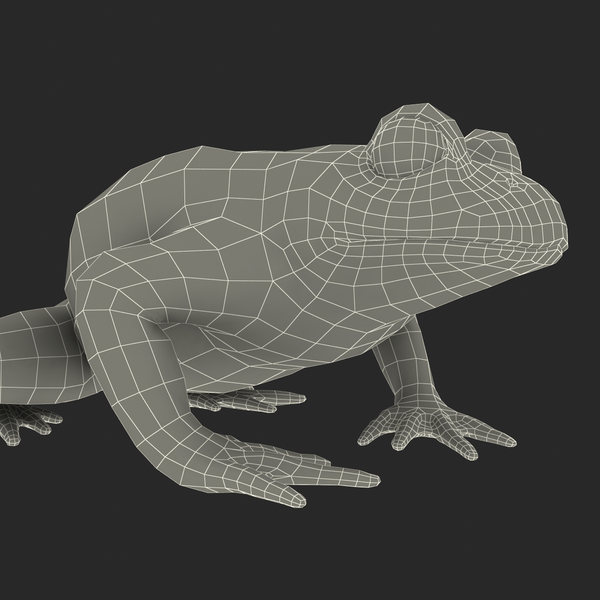 Fire Bellied Toad Frog Pose 2 3D model