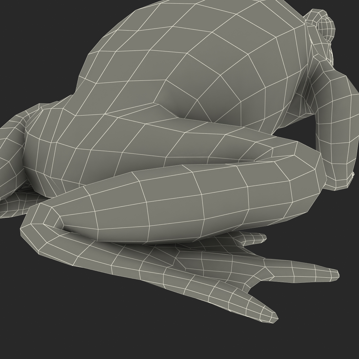 Fire Bellied Toad Frog Pose 2 3D model