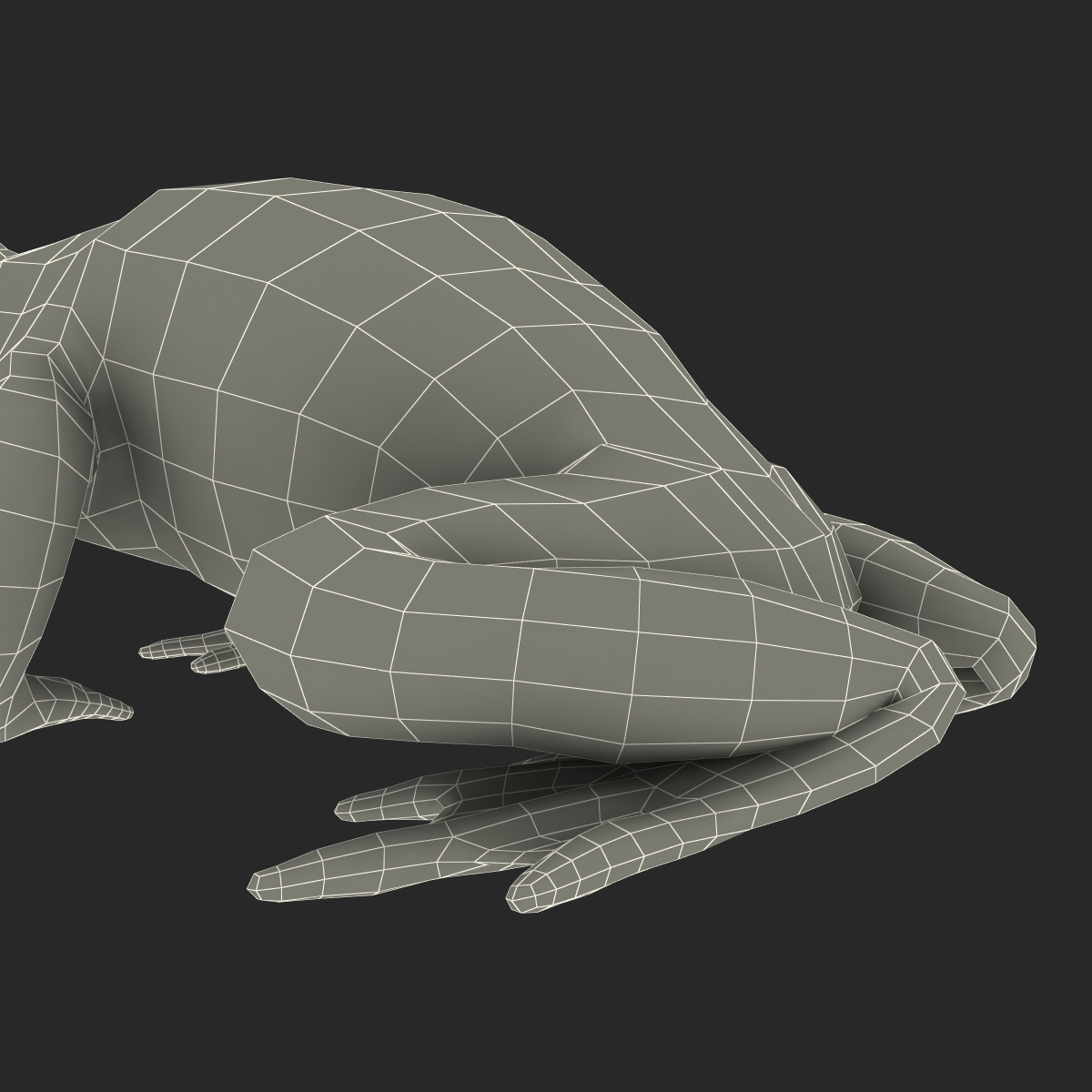 Fire Bellied Toad Frog Pose 2 3D model