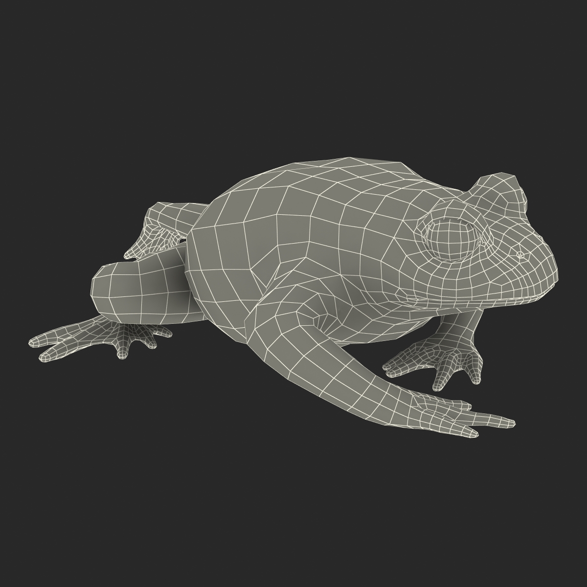 Fire Bellied Toad Frog Pose 3 3D model