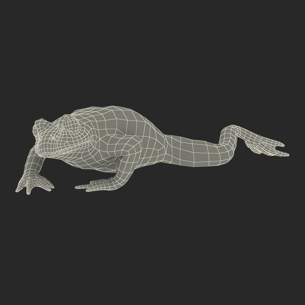 Fire Bellied Toad Frog Pose 3 3D model