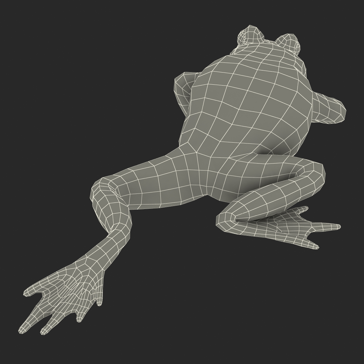 Fire Bellied Toad Frog Pose 3 3D model