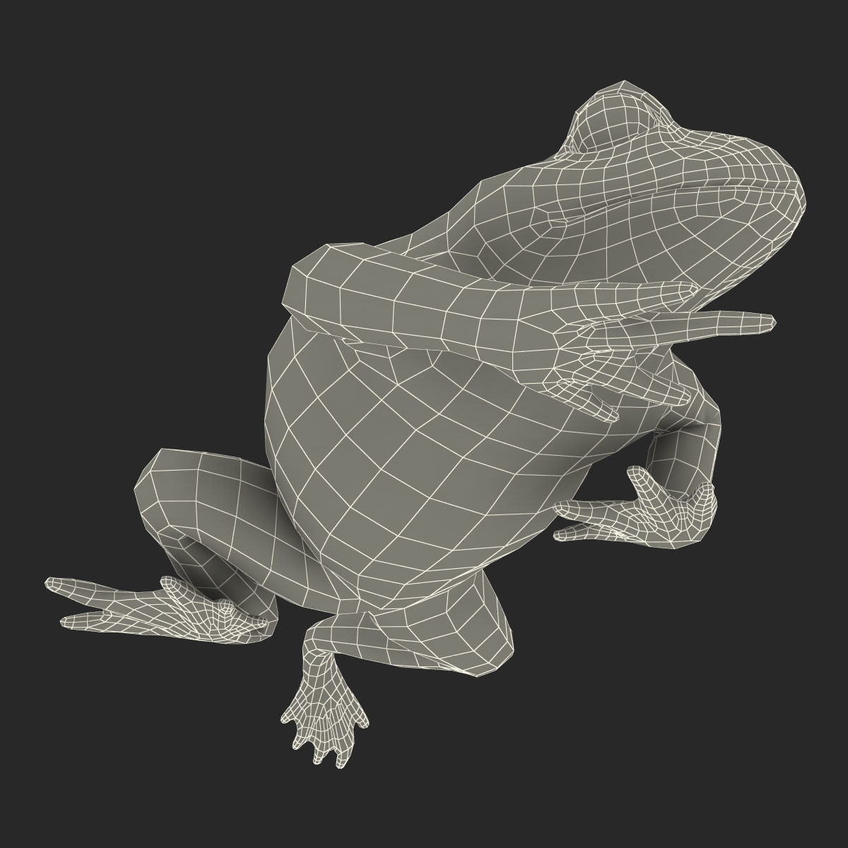 Fire Bellied Toad Frog Pose 3 3D model