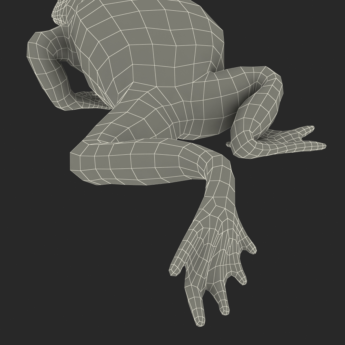 Fire Bellied Toad Frog Pose 3 3D model