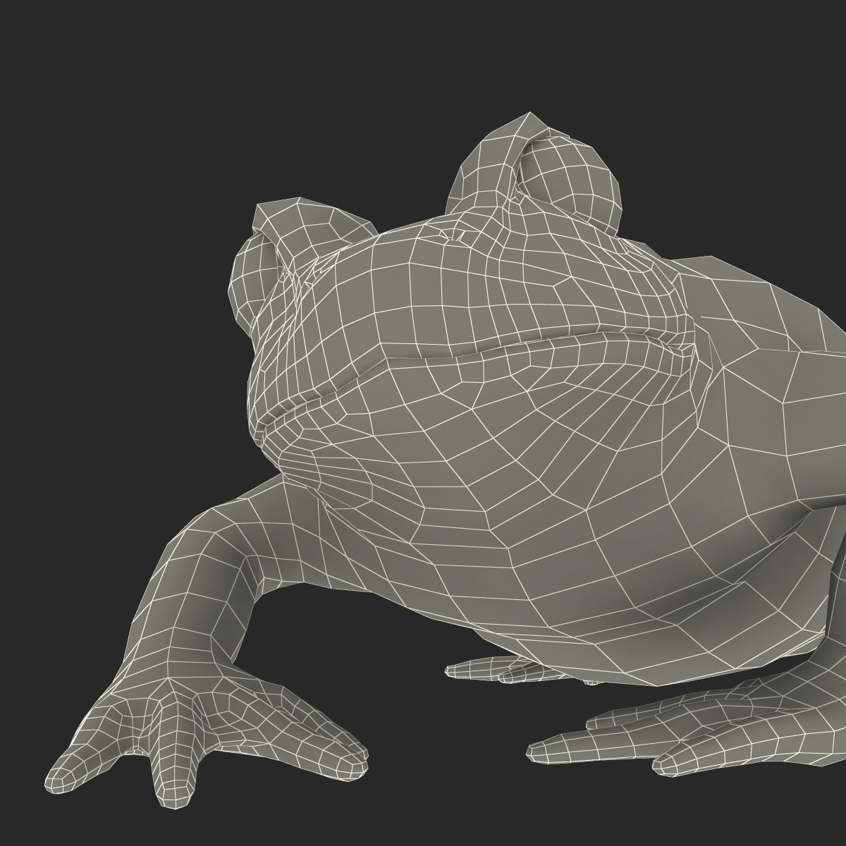 Fire Bellied Toad Frog Pose 3 3D model