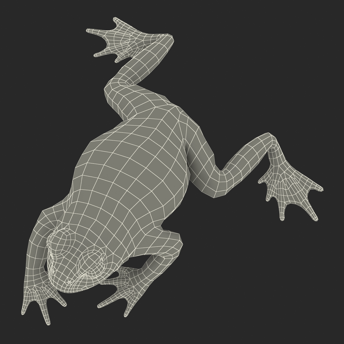 Fire Bellied Toad Frog Pose 4 3D model