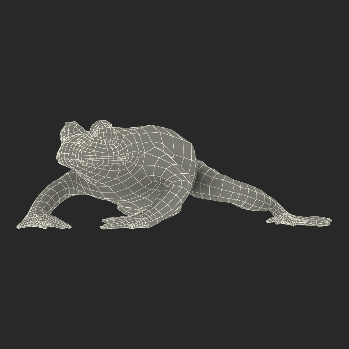 Fire Bellied Toad Frog Pose 4 3D model