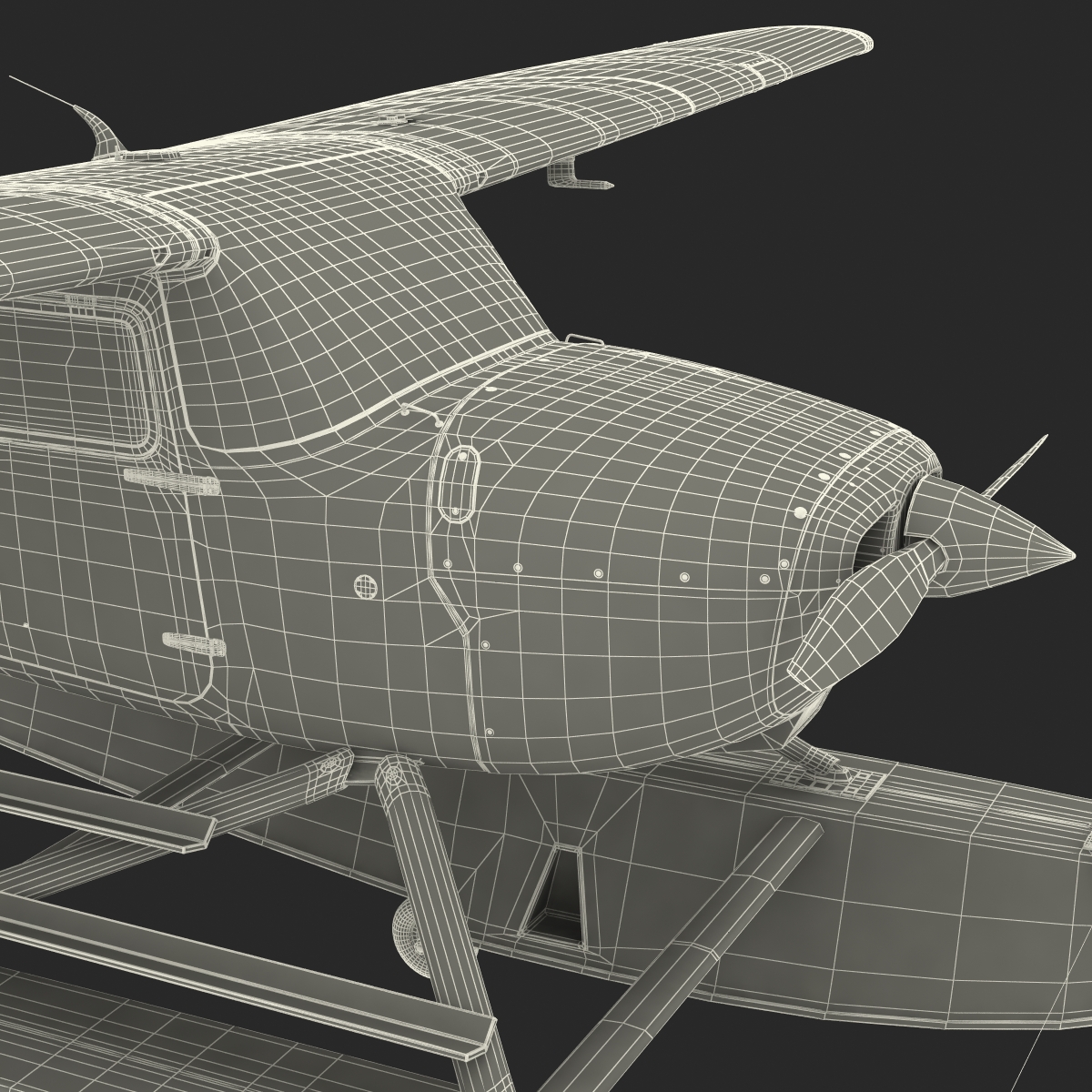 Cessna 172 Blue Seaplane 3D model