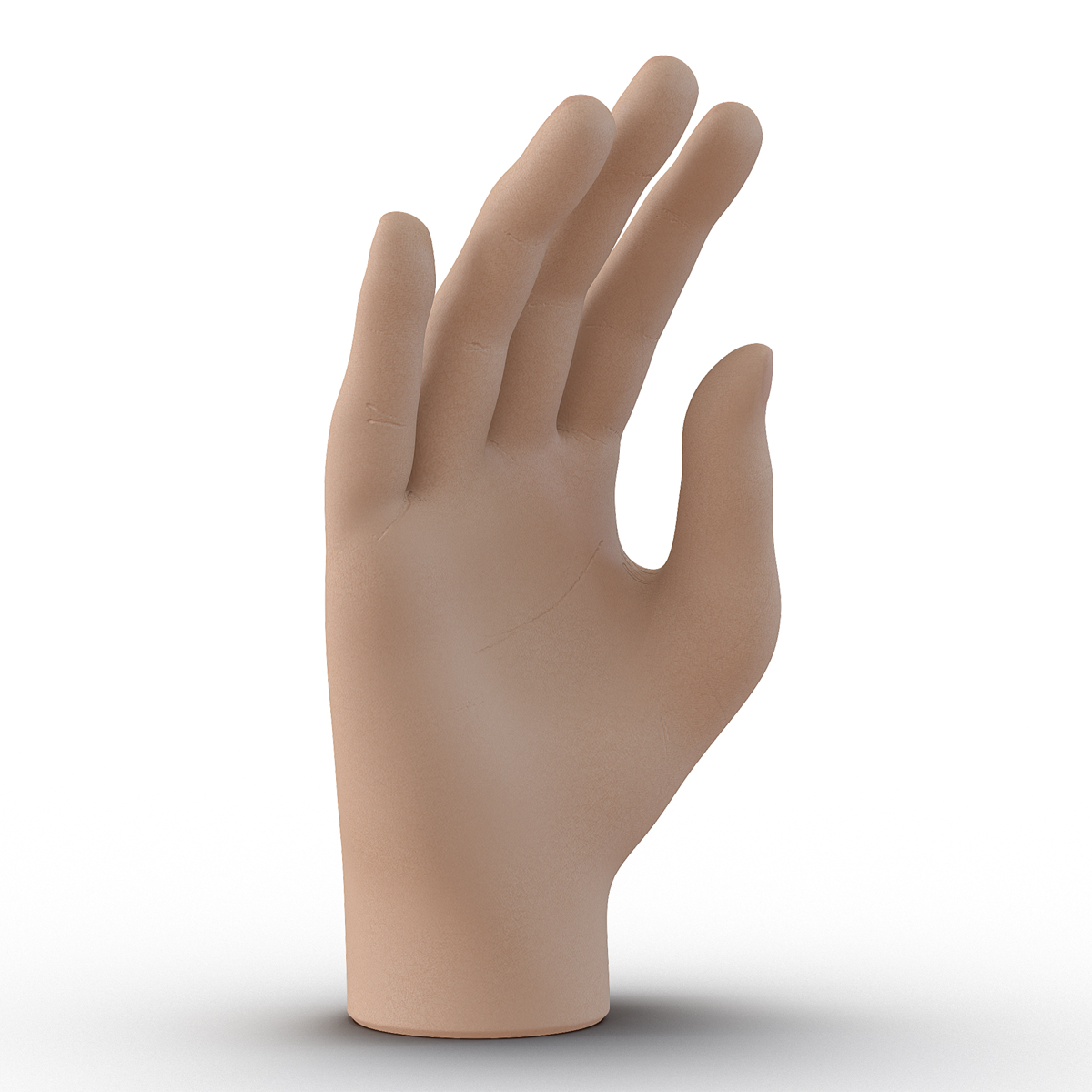 Plastic Hand 3D