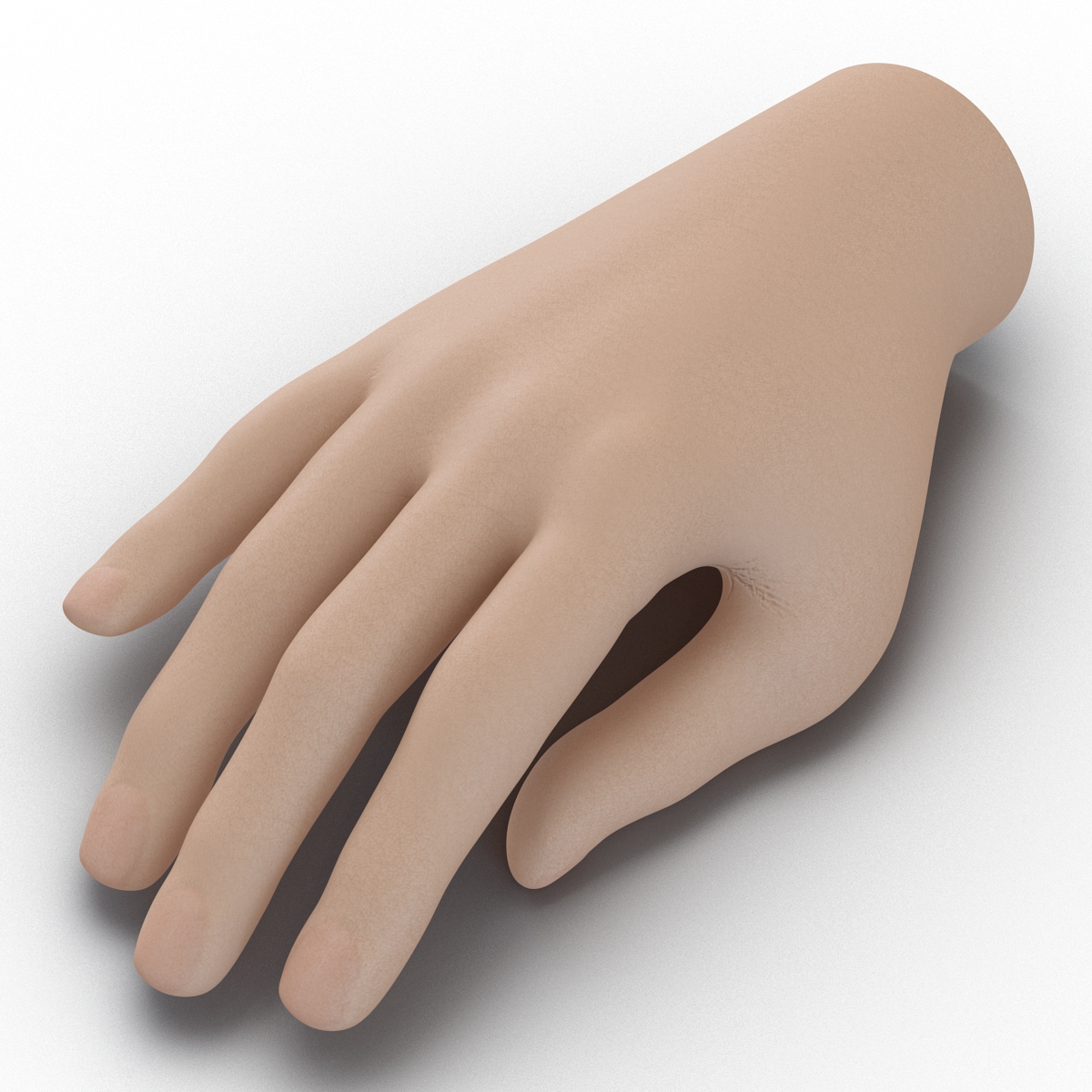 Plastic Hand 3D