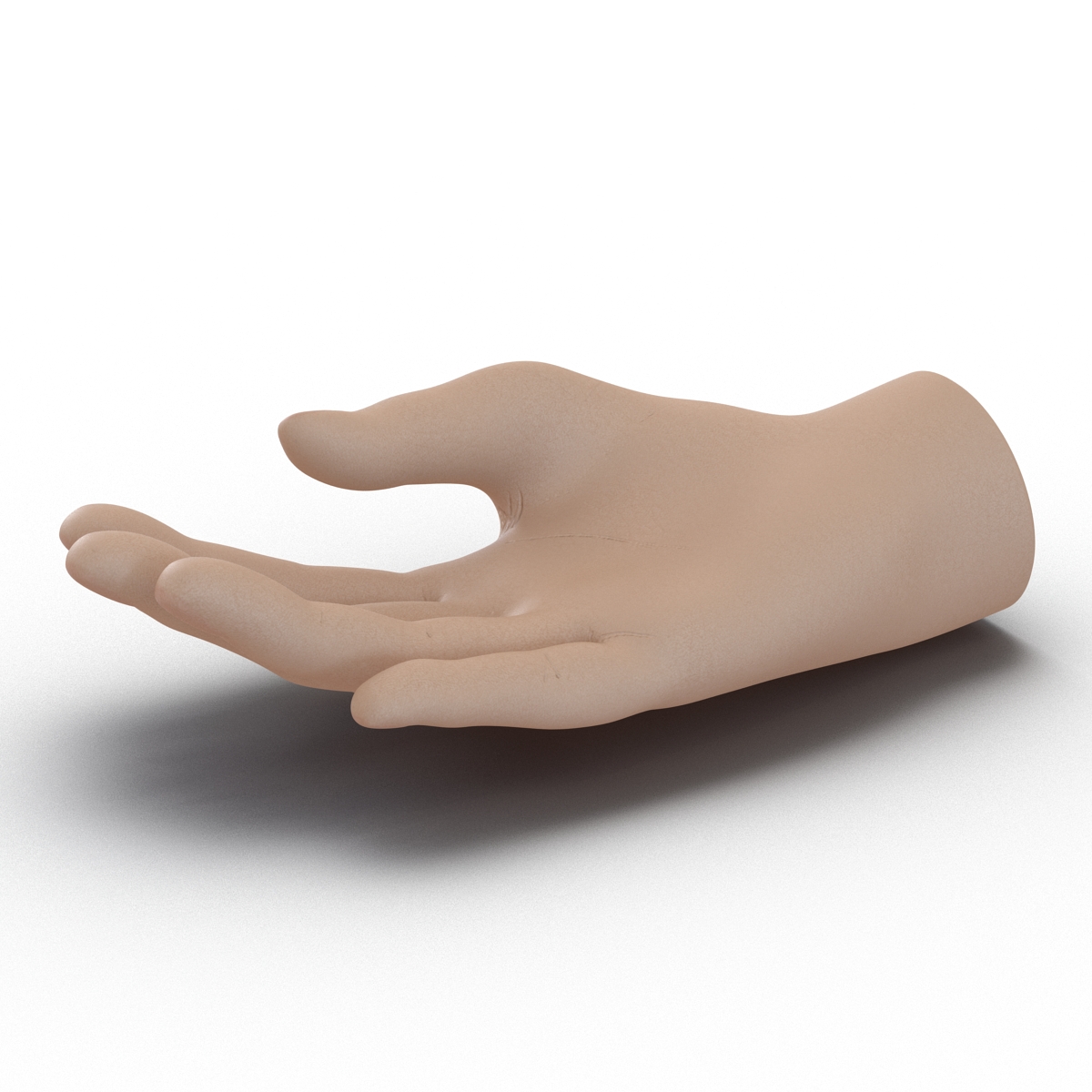 Plastic Hand 3D