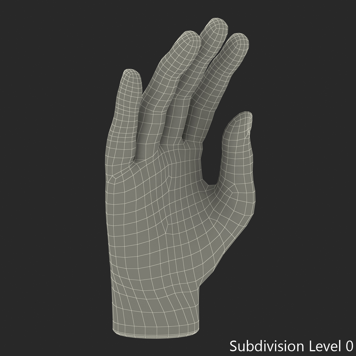 Plastic Hand 3D