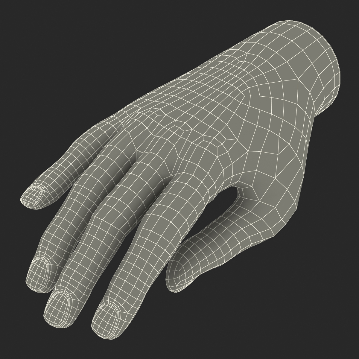 Plastic Hand 3D