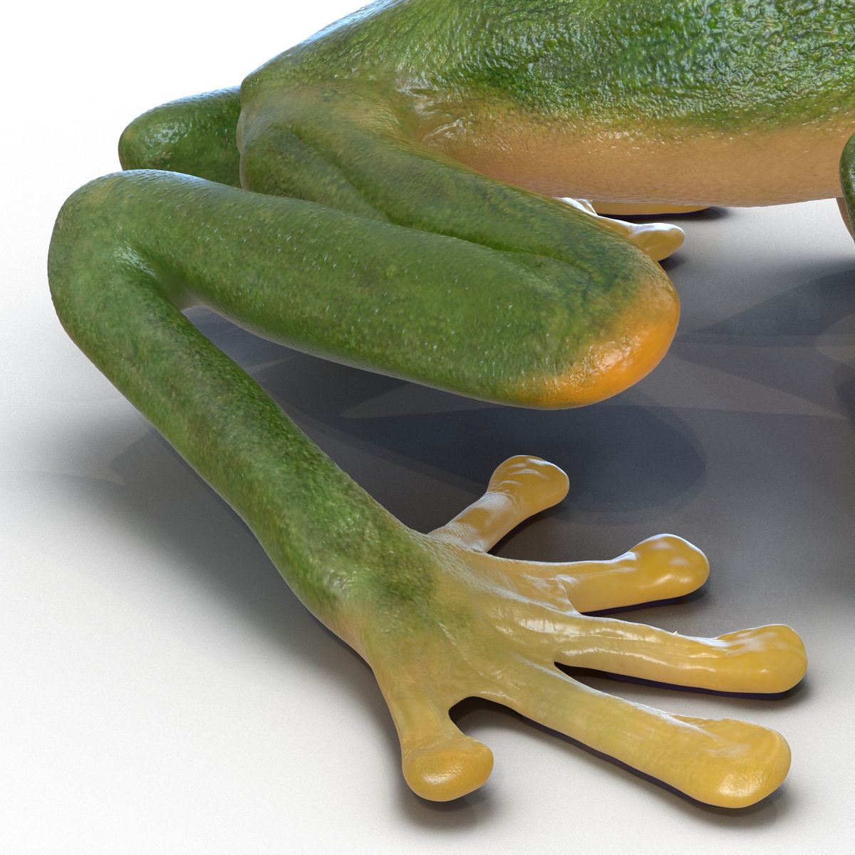 Tree Frog 3D model