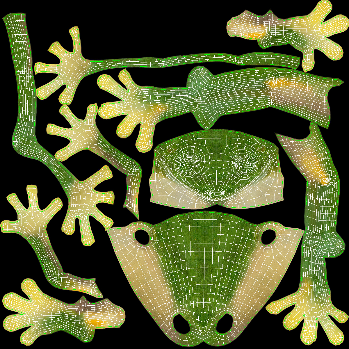 Tree Frog 3D model