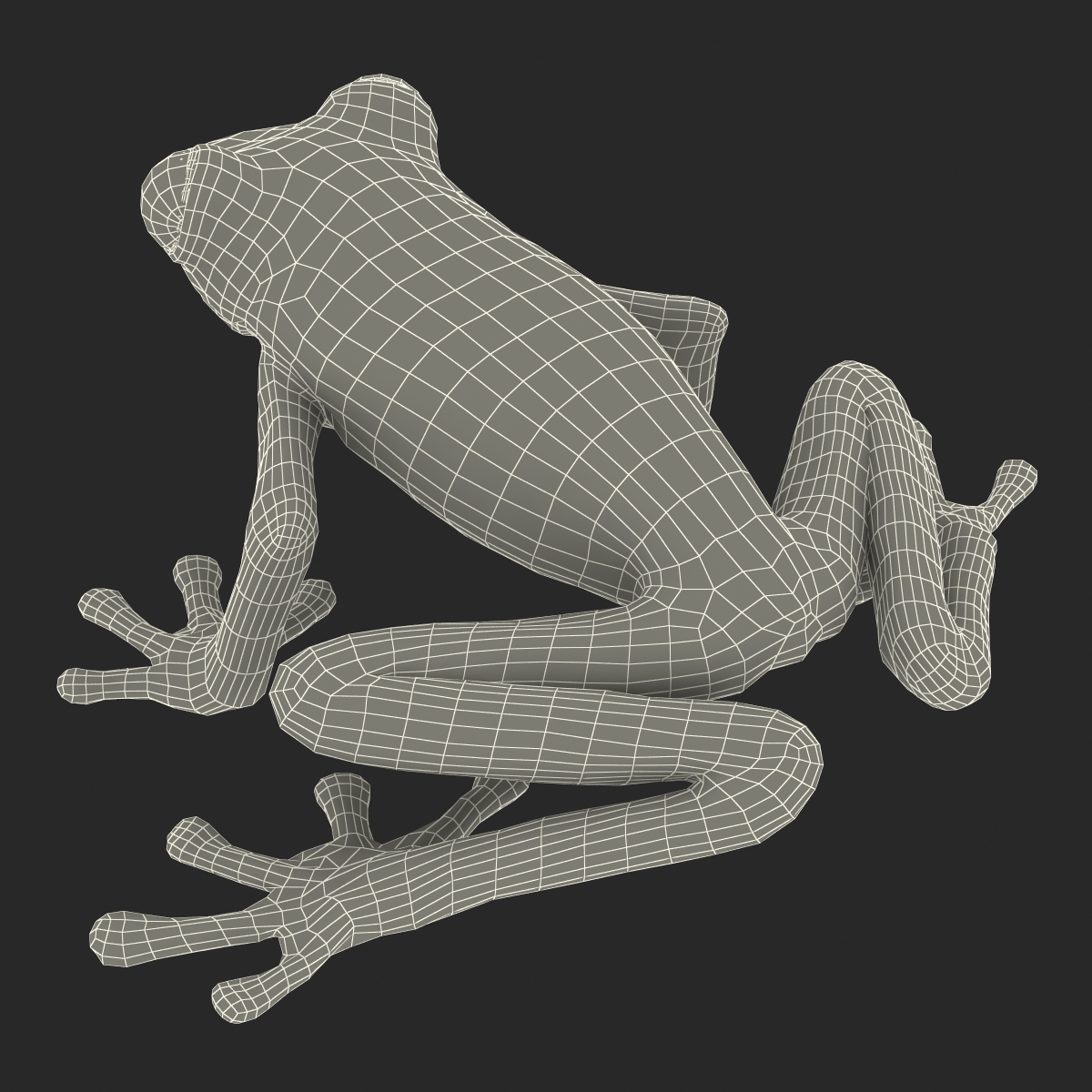 Tree Frog 3D model