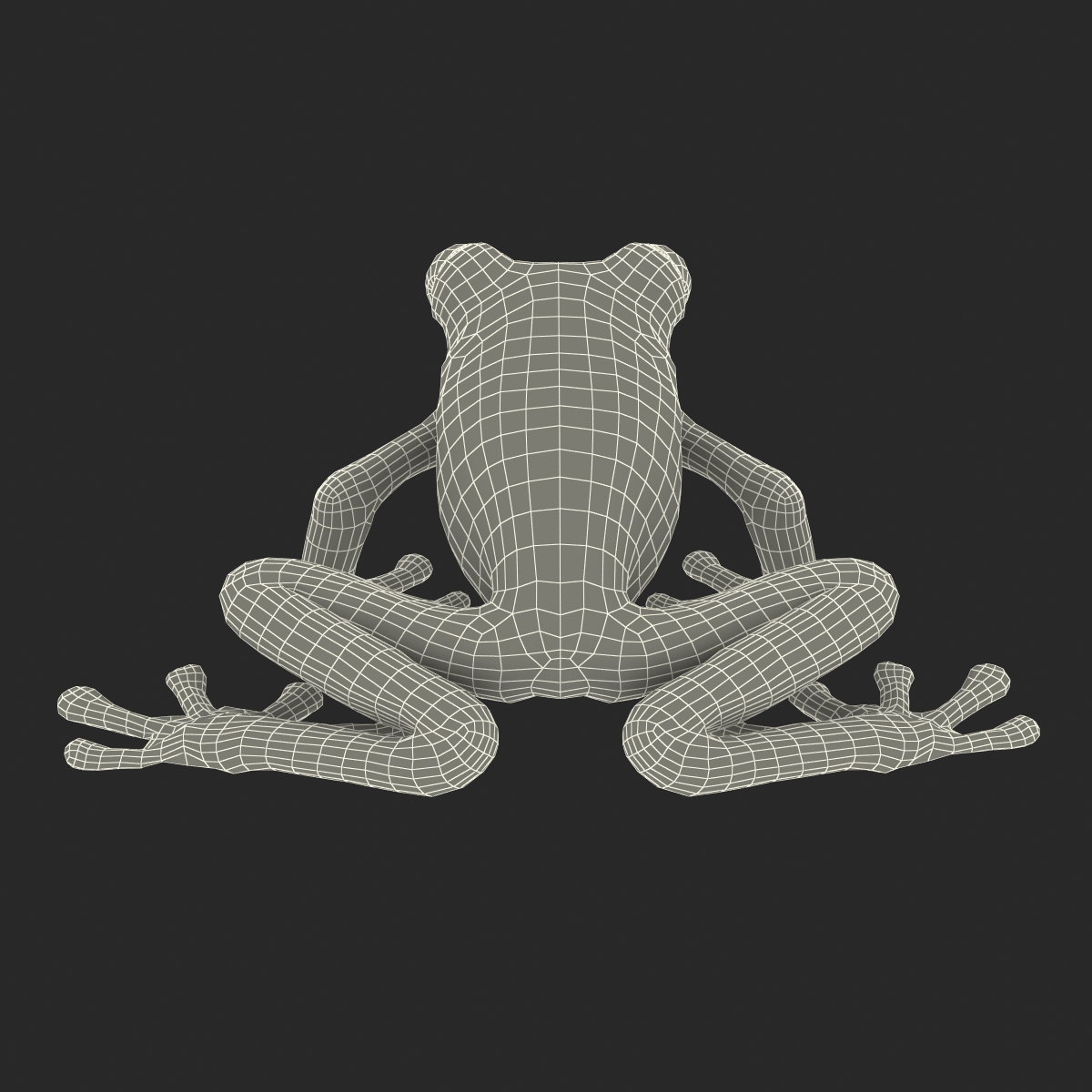 Tree Frog 3D model